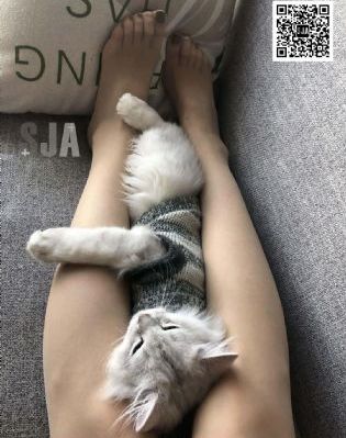 国产什么电视机品牌好_蓝光视频大全