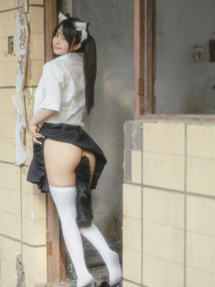 又黄又免费的视频_DVD免费播放