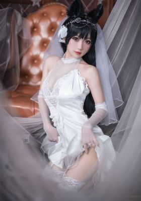 91视频解析下载器_BD国语高清完整版播放