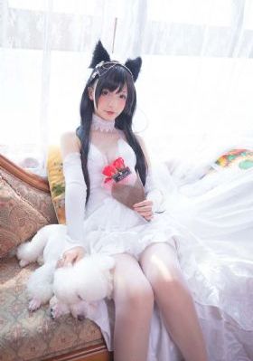 91视频完整版在线观看_HD动漫在线观看